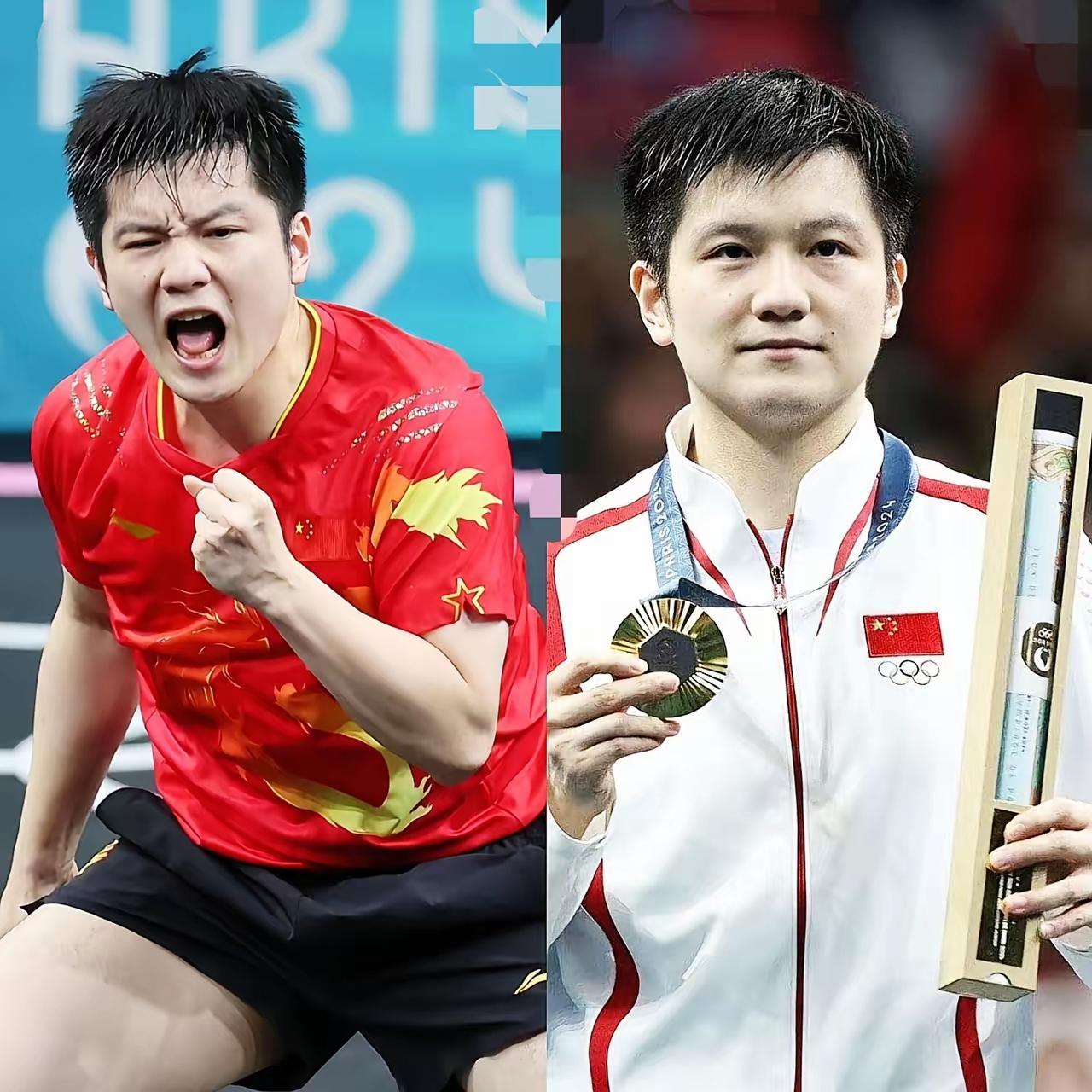 开云-中国队力克法国队，樊振东关键制胜的简单介绍