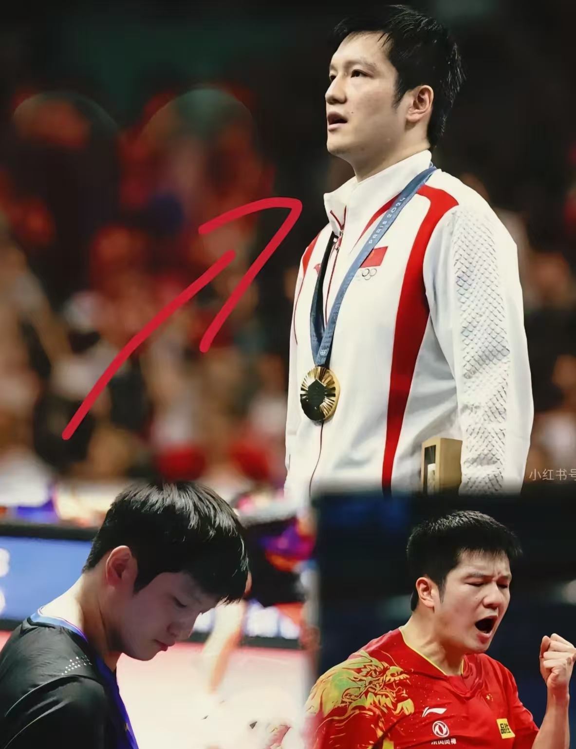 中国队力克法国队，樊振东关键制胜的简单介绍